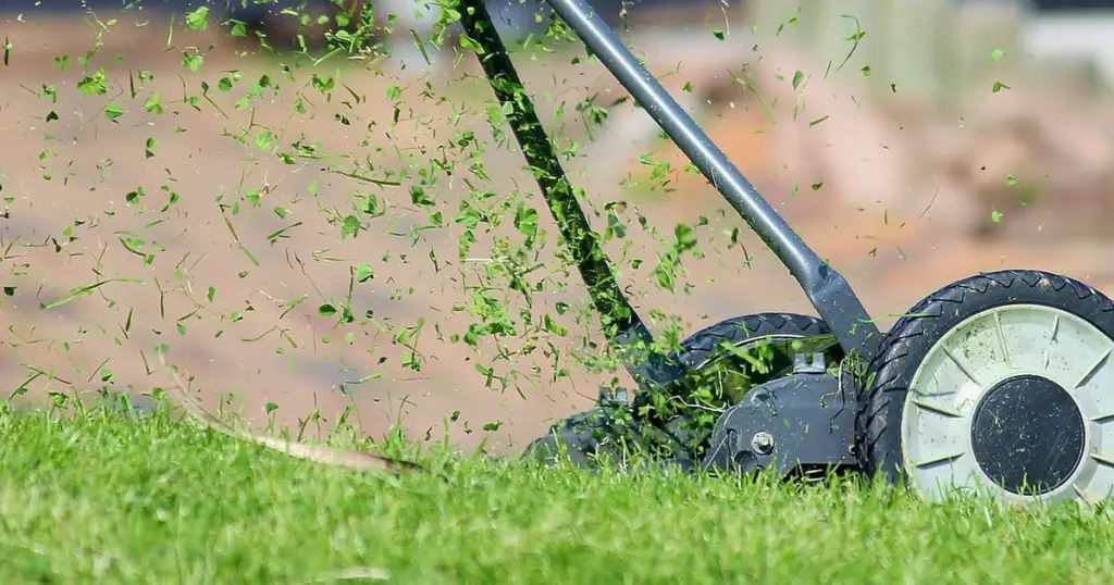 insektenfreundliches rasen mähen