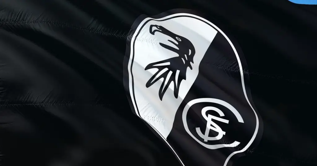 sc freiburg katze