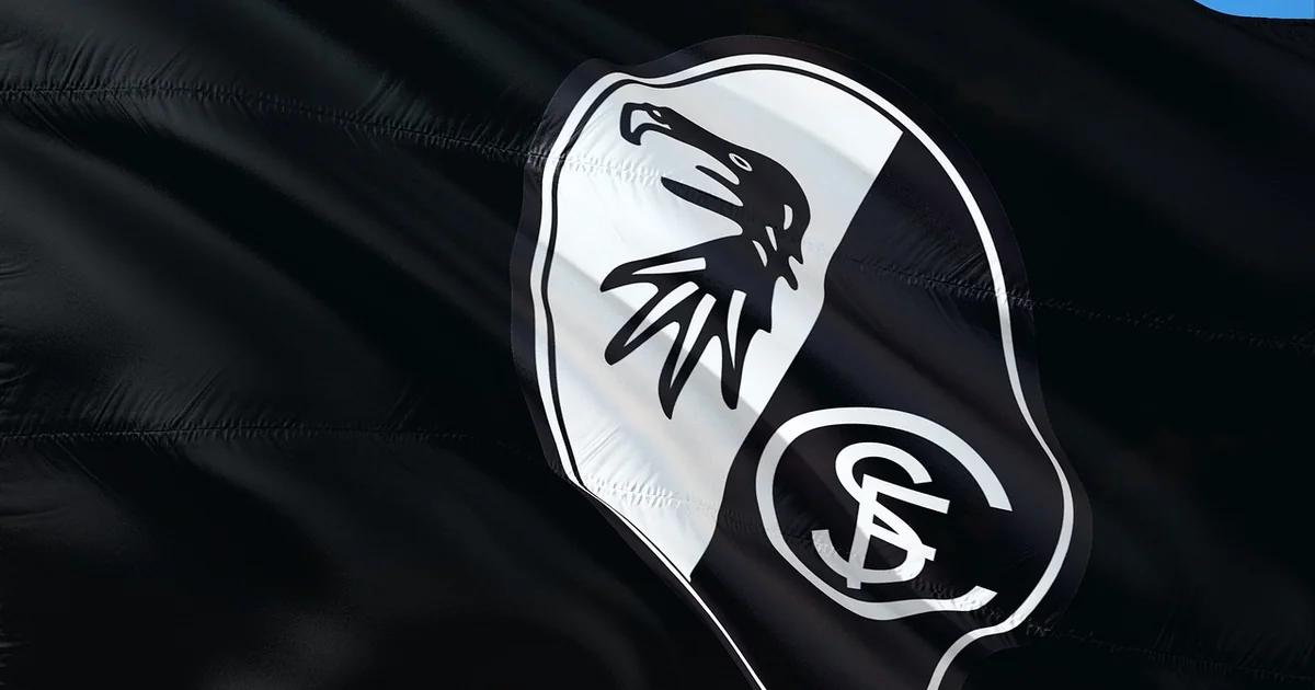 sc freiburg katze