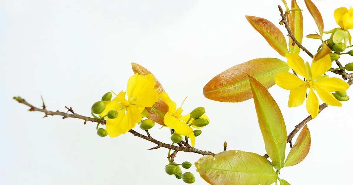gartenarbeiten mai