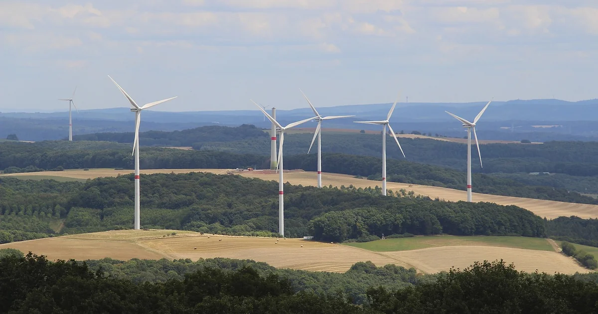 rotmilan schutz windräder