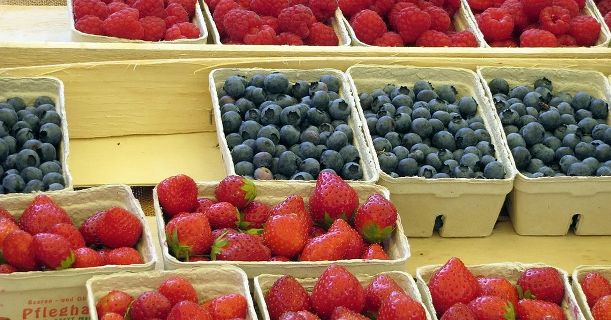 erdbeeren kaufen