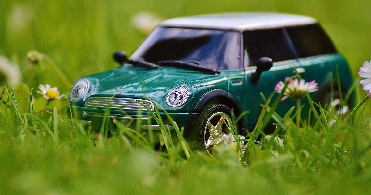 mini-qualle altern