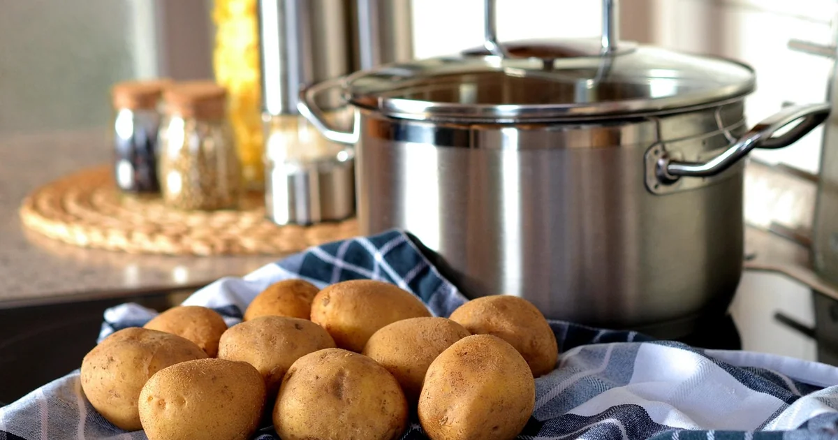 kartoffeln im topf anbauen