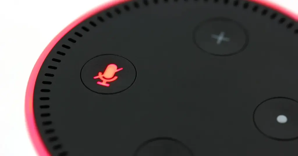 echo dot tipps