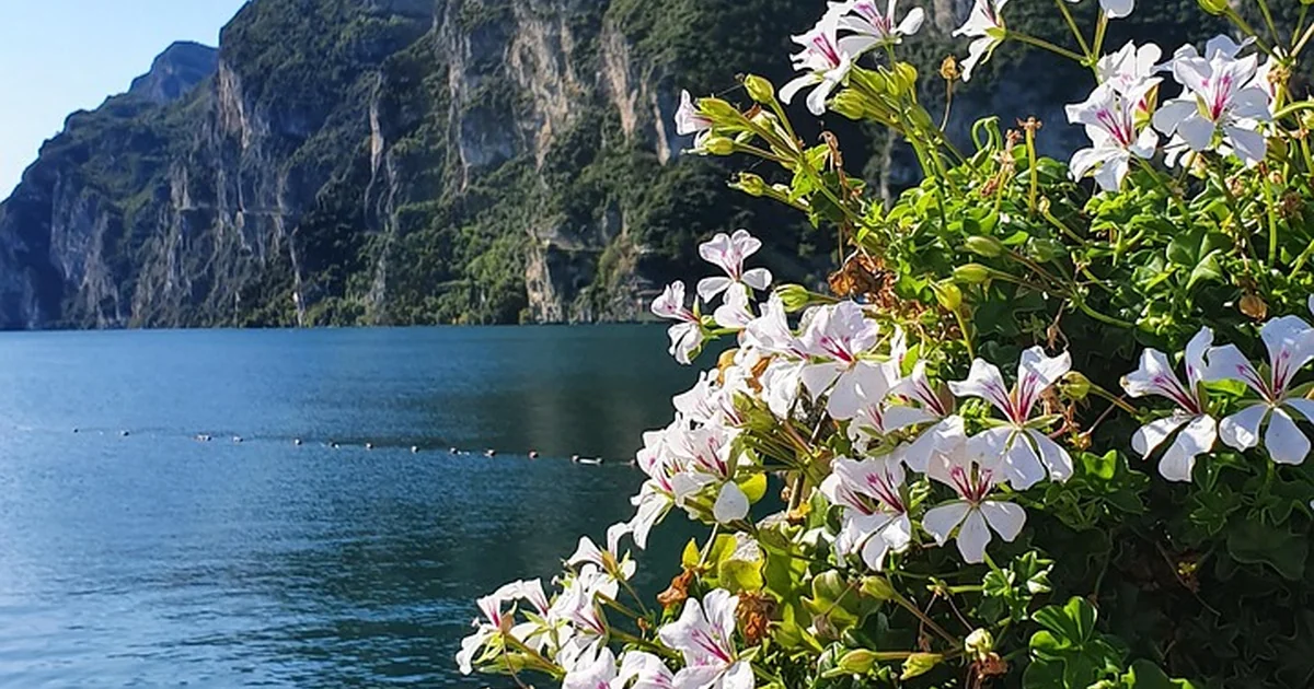 gardasee hotels
