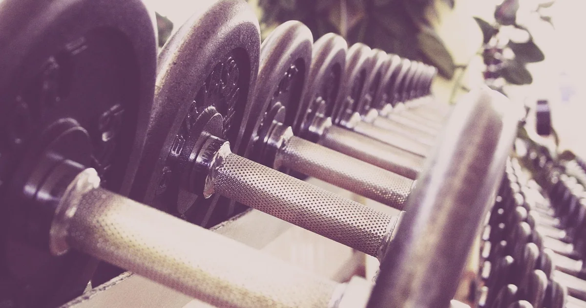 krafttraining einstieg