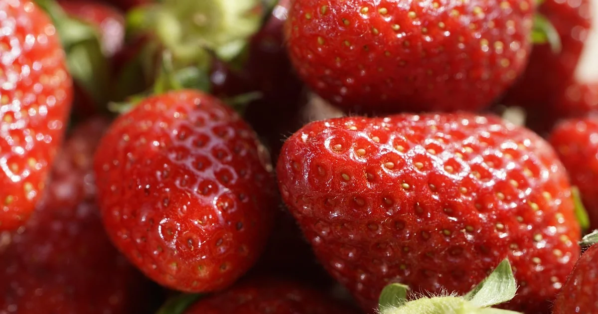 erdbeeren 400g schrumpfschale