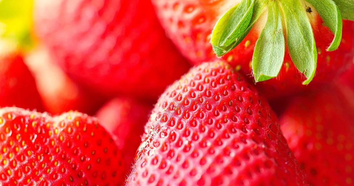 erdbeeren balkon pflegen