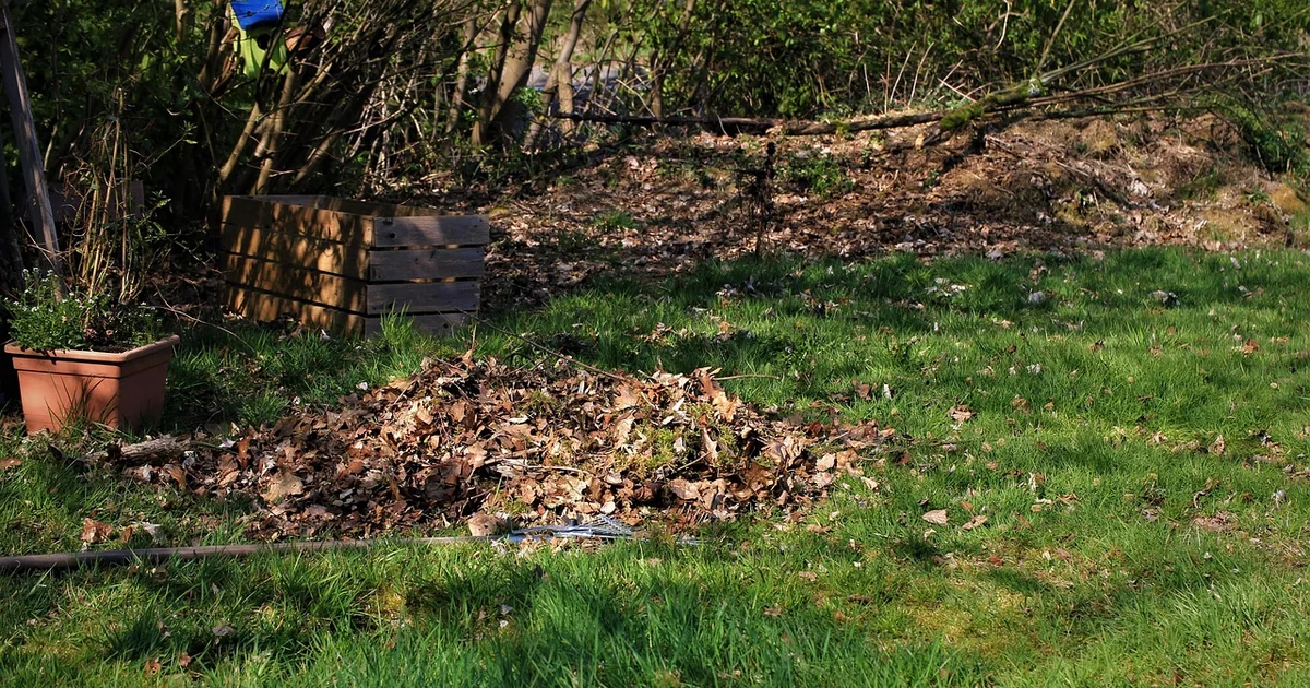 gartenpflege frühjahr