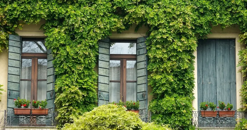 Balkon bepflanzen Juni