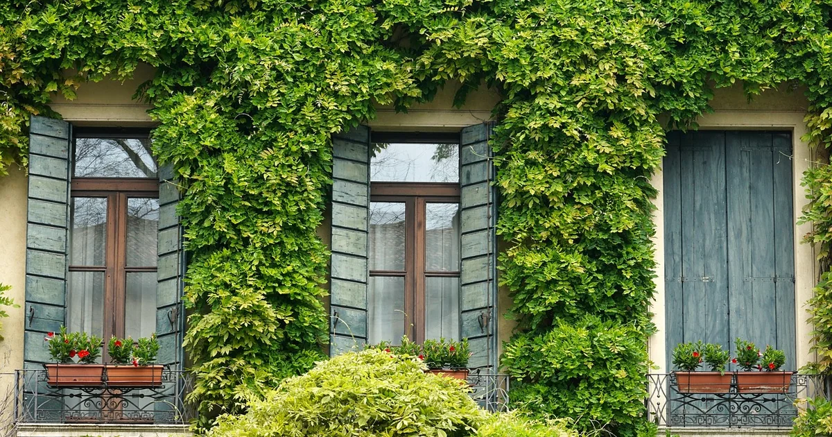 Balkon bepflanzen Juni