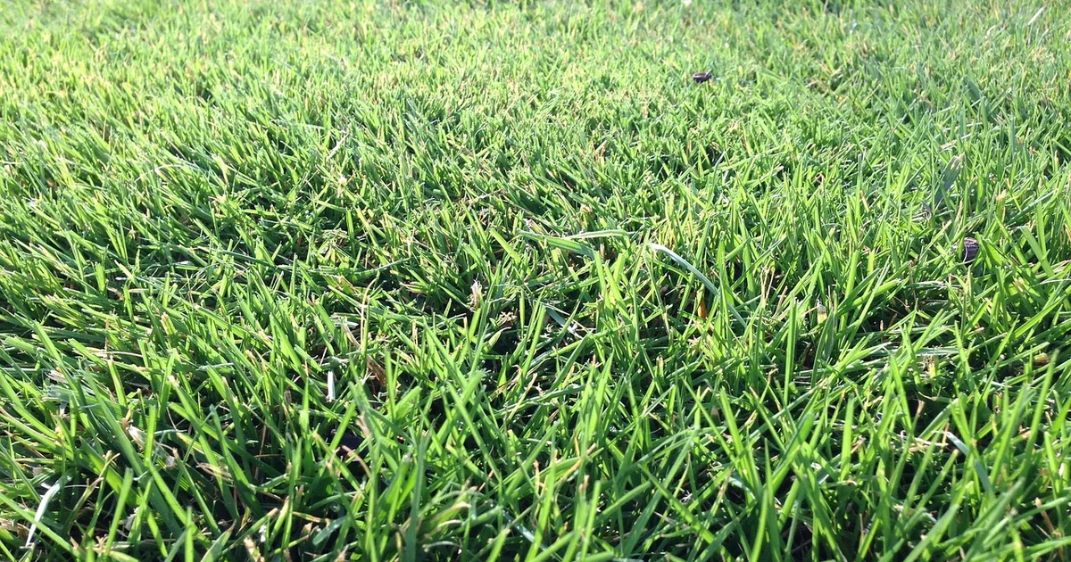 fußballplatz im garten
