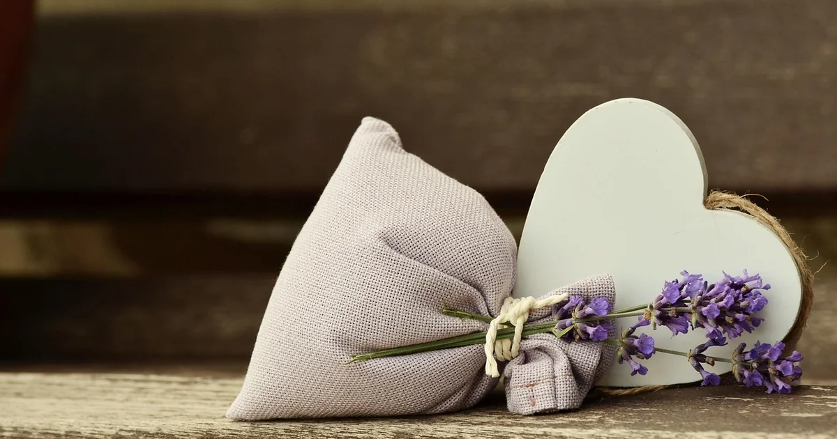 Lavendel Pflegetipps