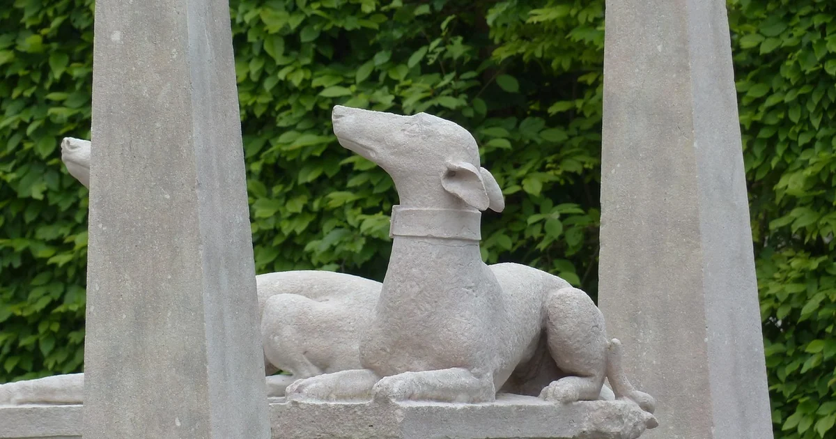 Ziergarten Juni Pflege