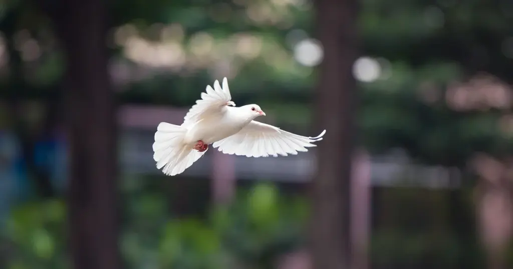 Fliegende Ameisen loswerden