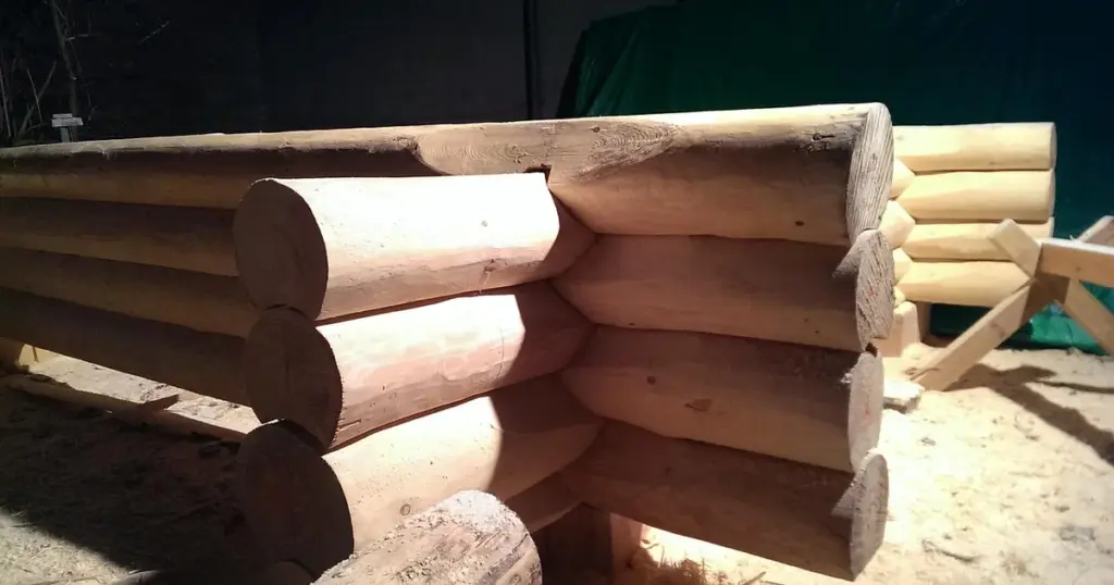 Fliegenfalle selber bauen