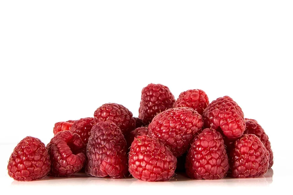 Himbeeren schneiden Zeitpunkt: himbeeren schneiden