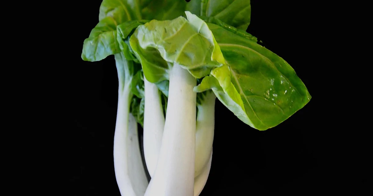 Pak Choi anbauen
