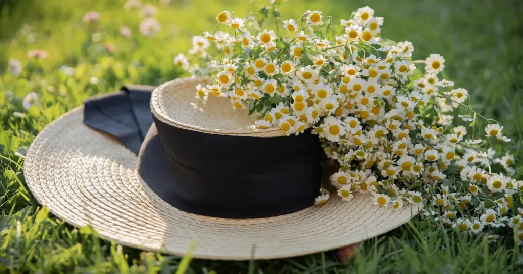 Rasen säen Sommer