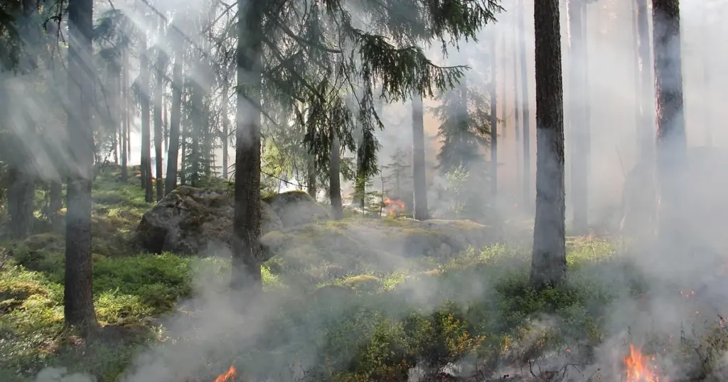 Waldbrand Frankreich 2022
