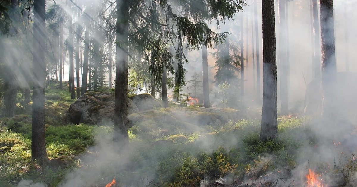 Waldbrand Frankreich 2022